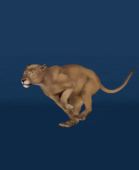 Основы[hl]3D анимации[/hl] животных